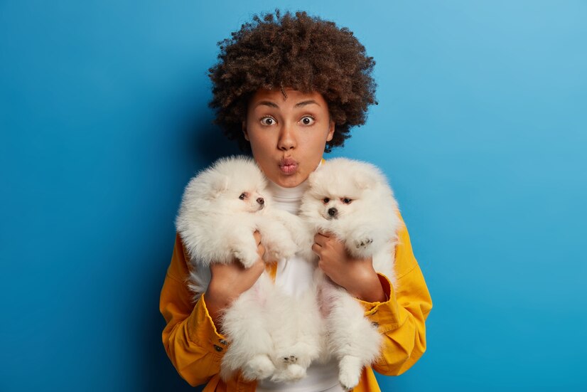 How CBD Can Help Pets with Allergies and Skin Issues