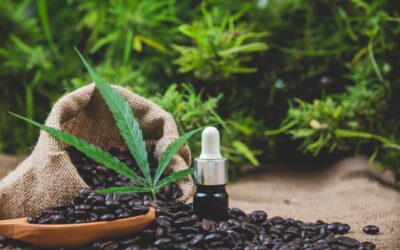 Creating Your Own CBD-Infused Products: A DIY Wellness Guide