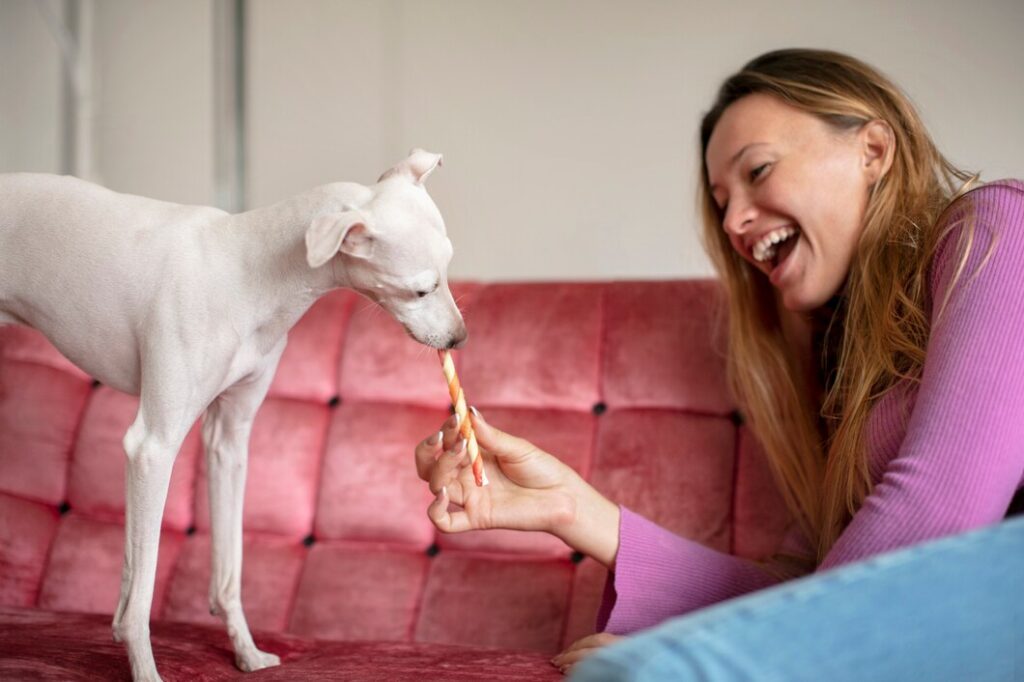 How to Administer CBD to Your Pet: A Complete Guide