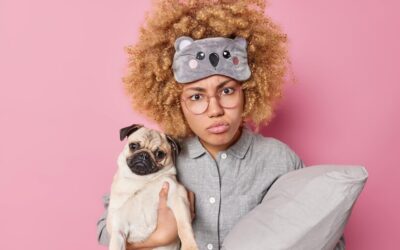 CBD for Pets with Anxiety: Calming Nervous Animals