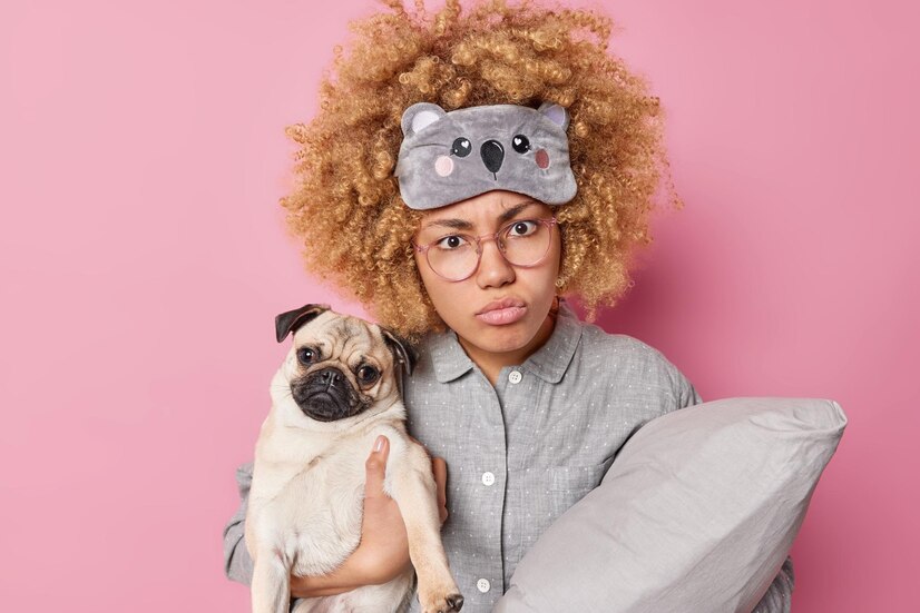 CBD for Pets with Anxiety: Calming Nervous Animals