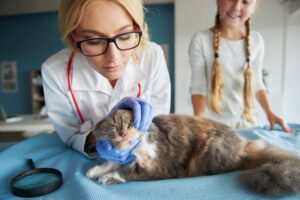 Considerations When Giving CBD to Pets with Seizures