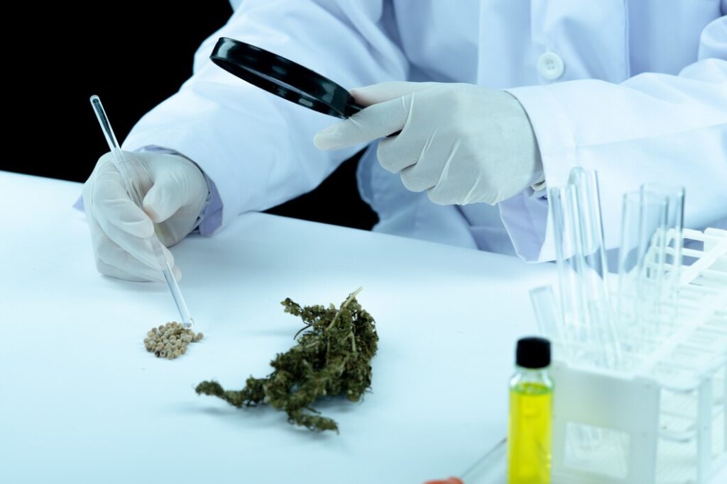 CBD Isolate Powder: Versatility and Uses