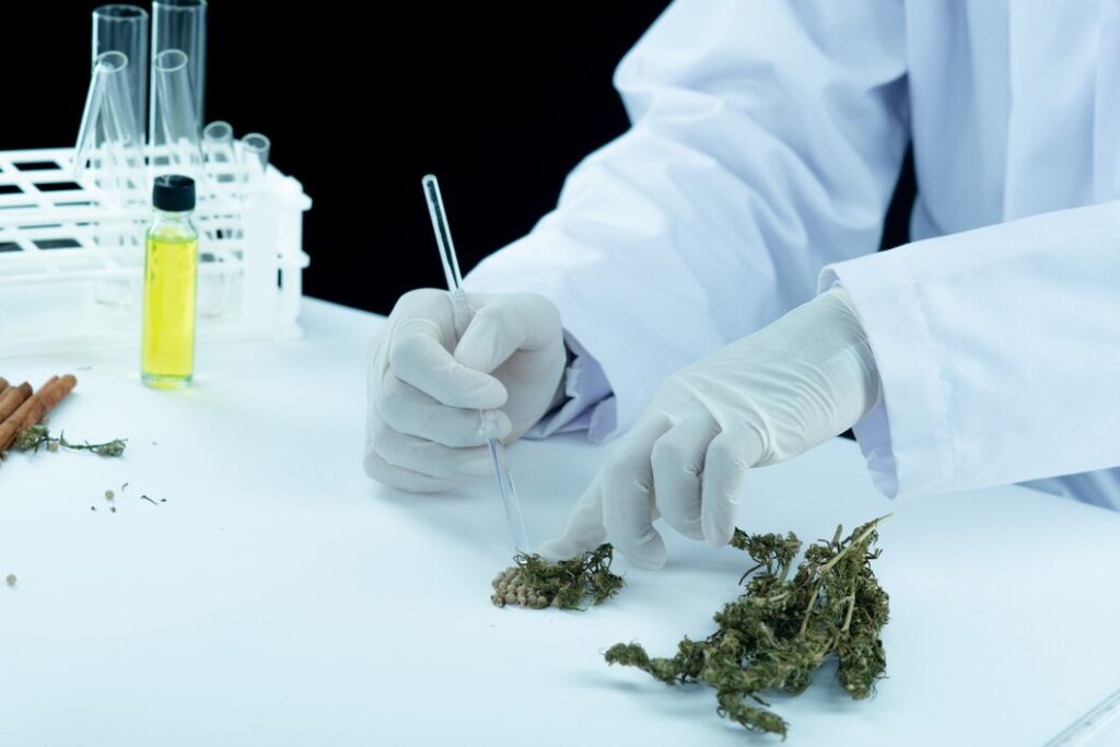 How to Use CBD Isolate for Different Applications