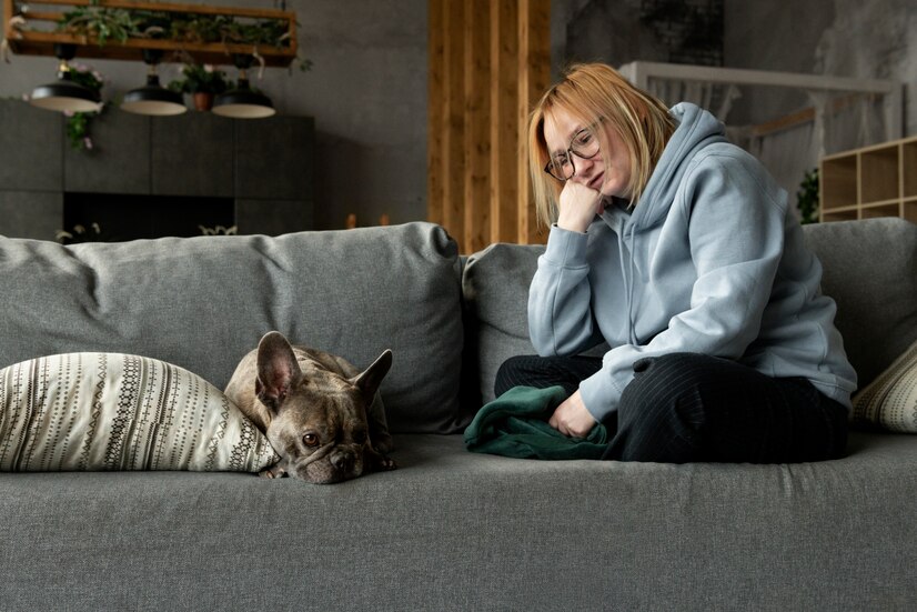 Using CBD Oil to Reduce Separation Anxiety in Dogs