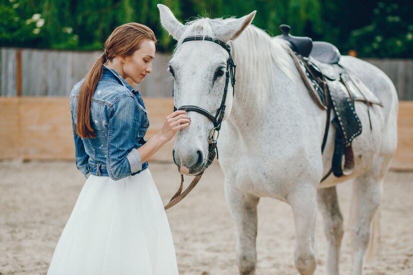 CBD for Horses: Exploring Potential Benefits for Equine Health