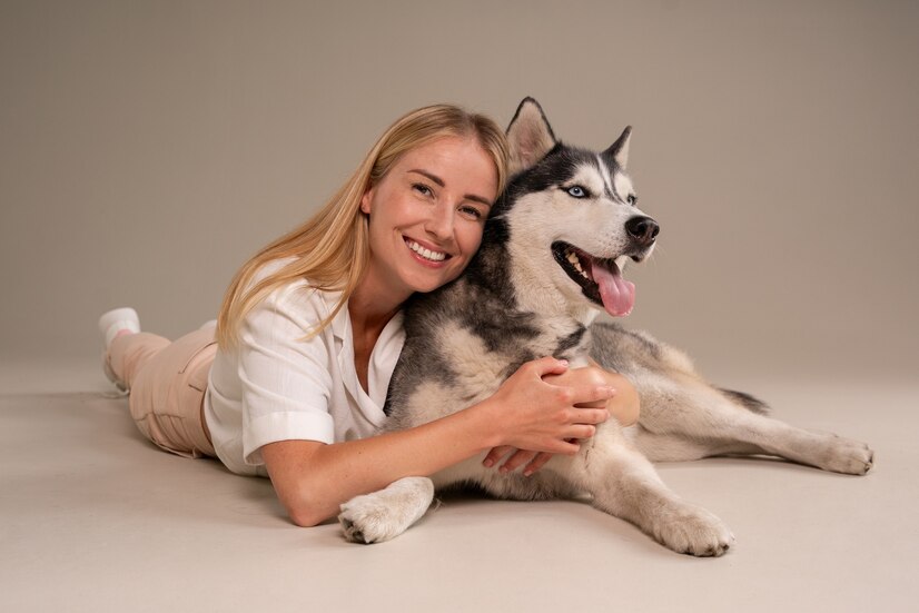 The Use of CBD in Veterinary Medicine Compared to Traditional Treatments