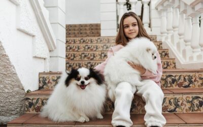 Using CBD for Small and Toy Breed Dogs Using CBD for Small and Toy Breed Dogs