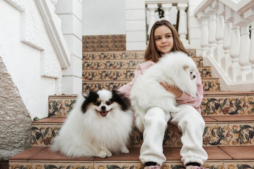 Using CBD for Small and Toy Breed Dogs
