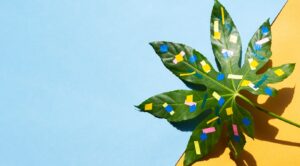 The Benefits of Using Broad-Spectrum CBD Products