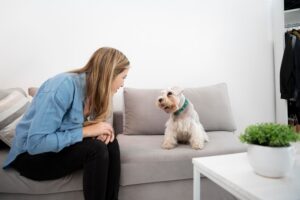 Using CBD Oil to Reduce Separation Anxiety in Dogs