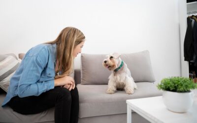 Using CBD Oil to Reduce Separation Anxiety in Dogs