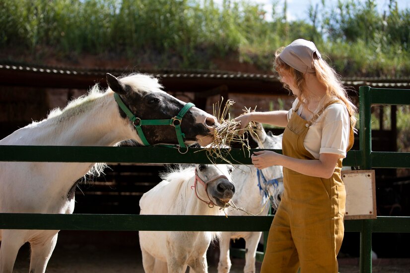 Safe Ways to Administer CBD to Horses