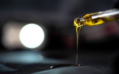 The Origins of CBD: Tracing its History and Discovery