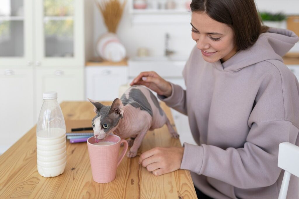 CBD for Pets: Oils, Treats, and More