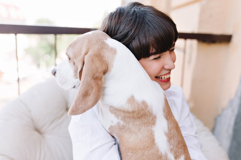 How CBD Can Help Pets with Allergies and Skin Issues