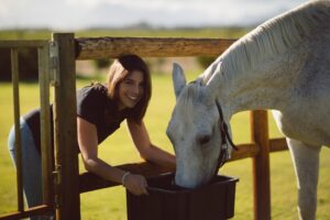 Safe Ways to Administer CBD to Horses