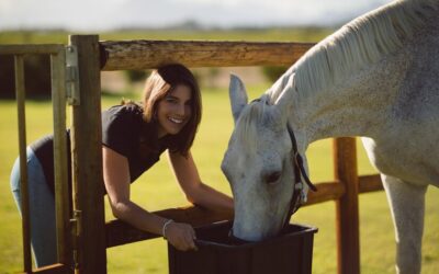 Safe Ways to Administer CBD to Horses