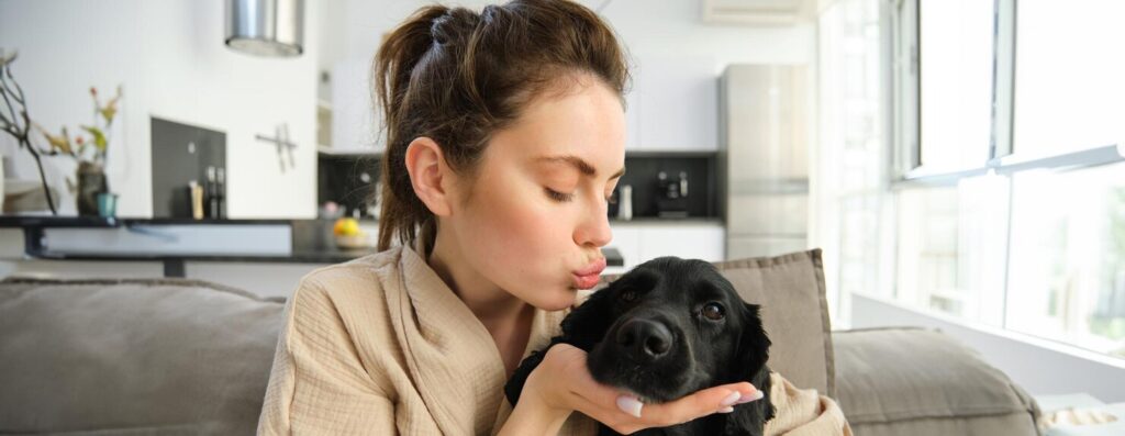 How CBD Can Help Pets with Allergies and Skin Issues