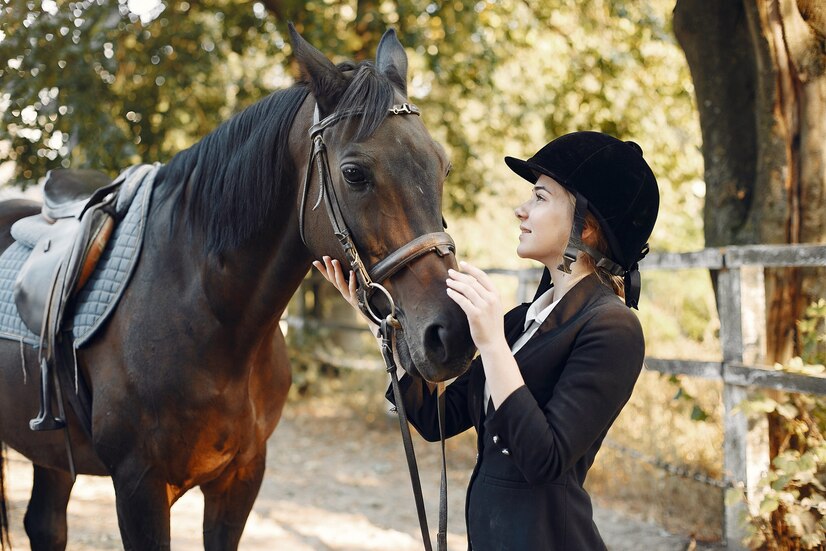Research on CBD for Pain and Anxiety in Horses