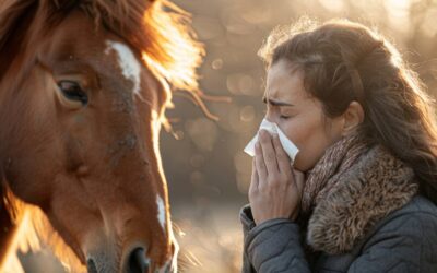 Research on CBD for Pain and Anxiety in Horses