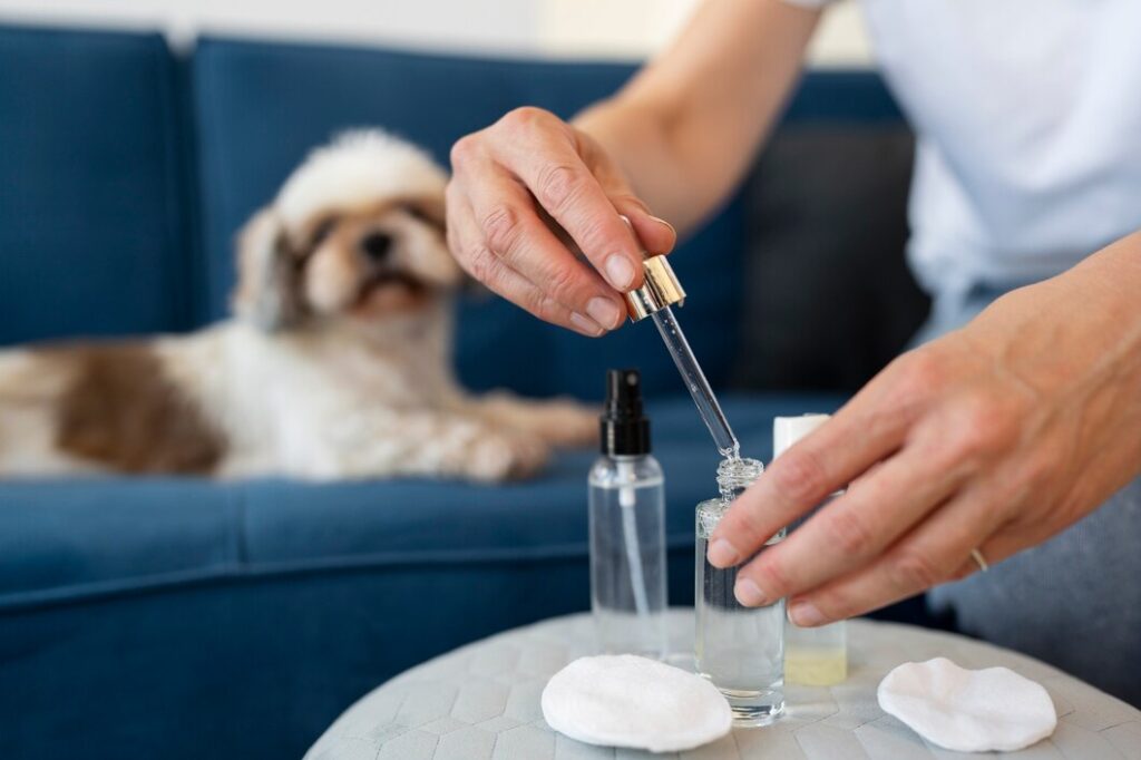 CBD for Pets: Oils, Treats, and More