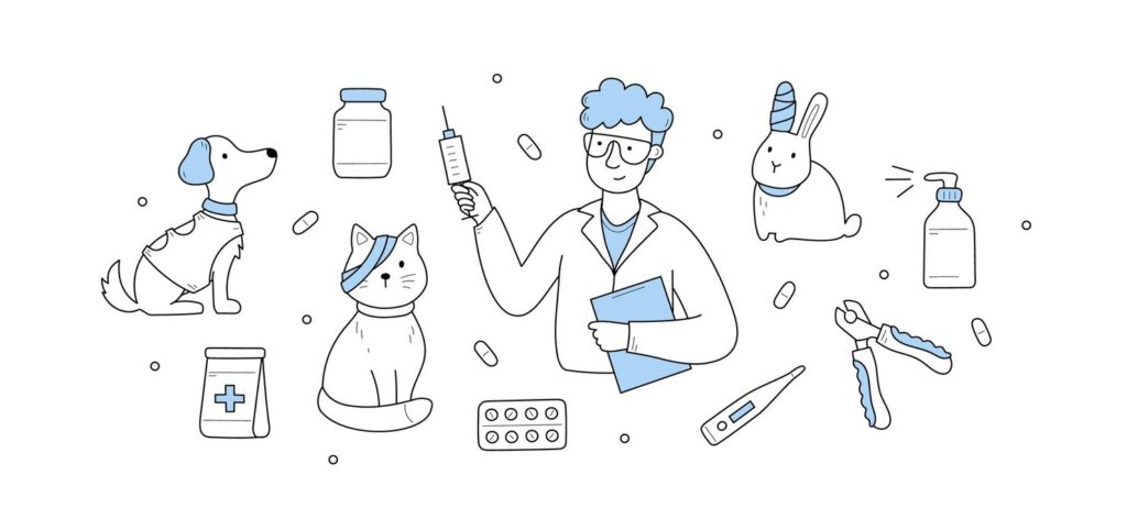 Safe CBD Dosage for Pets with Chronic Pain