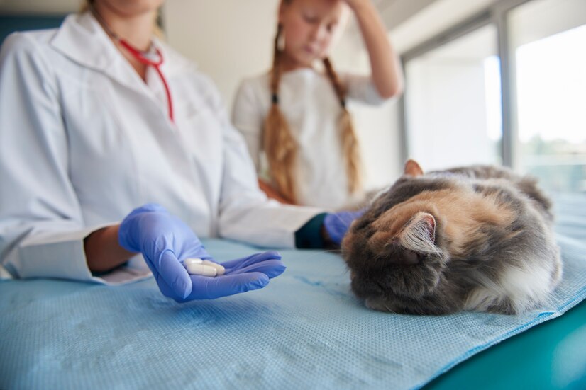 CBD for Pet Seizures: Exploring a Natural Approach