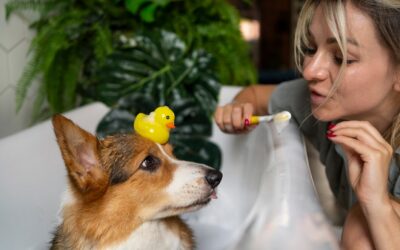 CBD for Pets: Oils, Treats, and More CBD for Pets: Oils, Treats, and More