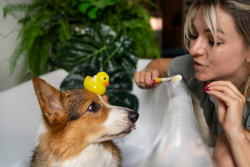 CBD for Pets: Oils, Treats, and More