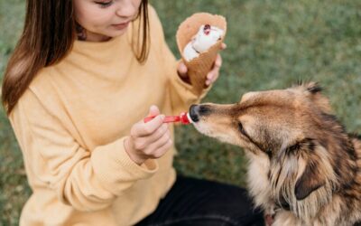 CBD for Other Animals: Cats, Rabbits, and More