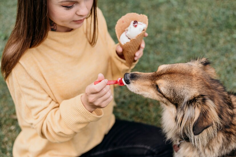 CBD for Other Animals: Cats, Rabbits, and More