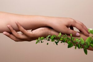 Nurturing Meaningful Friendships in Adulthood: A Guide to Lifelong Connection