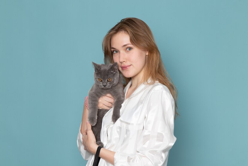 The Use of CBD in Veterinary Medicine Compared to Traditional Treatments