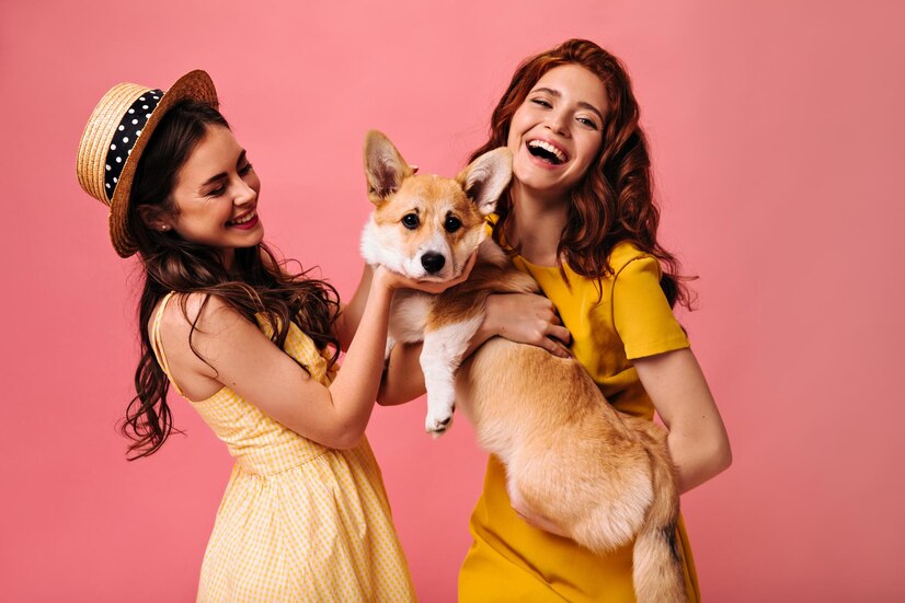 CBD Dosage for Dogs and Cats: A Complete Guide for Pet Owners