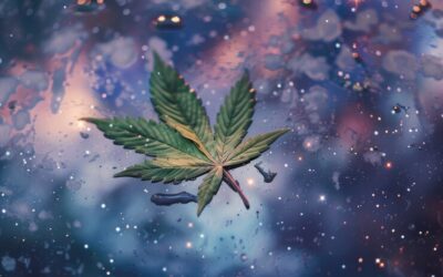 What Does CBD Stand For? And Other Common Questions
