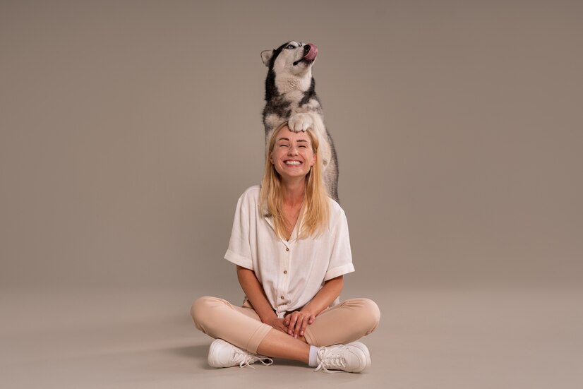 CBD for Pets: An Introduction
