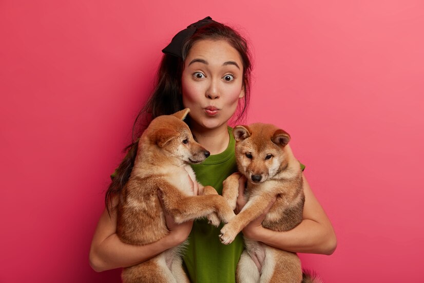 CBD Dosage for Dogs and Cats: A Complete Guide for Pet Owners